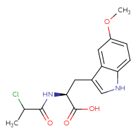 Chemical structure of (2S)-2-(2-chloropropanamido)-3-(5-methoxy-1H-indol-3-yl)propanoic acid - CSSB21531615694