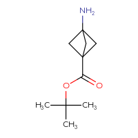 Chemical structure of tert-butyl 3-aminobicyclo[1.1.1]pentane-1-carboxylate - CSSB00015971804