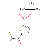 Chemical structure of tert-butyl 5-(2,2-difluoroacetyl)thiophene-2-carboxylate - CSSB21103687544
