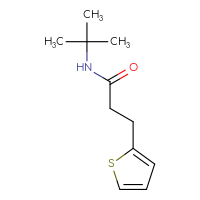 Chemical structure of N-tert-butyl-3-(thiophen-2-yl)propanamide - CSSB00000175581