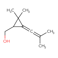 C10H16O