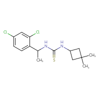 Chemical structure of 1-[1-(2,4-dichlorophenyl)ethyl]-3-(3,3-dimethylcyclobutyl)thiourea - CSSB15174717347