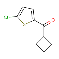 Chemical structure of (5-chlorothiophen-2-yl)(cyclobutyl)methanone - CSSB00000721970