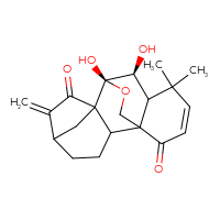 Chemical structure of (9R,10S)-9,10-dihydroxy-12,12-dimethyl-6-methylidene-17-oxapentacyclo[7.6.2.1⁵,⁸.0¹,¹¹.0²,⁸]octadec-13-ene-7,15-dione - CSSB02531768507