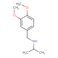Chemical structure of [(3,4-dimethoxyphenyl)methyl](propan-2-yl)amine - CSSB00000195770