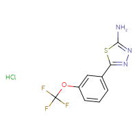 Chemical structure of 5-[3-(trifluoromethoxy)phenyl]-1,3,4-thiadiazol-2-amine hydrochloride - CSSB00000728345