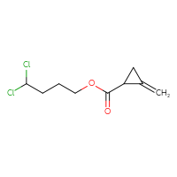 C9H12Cl2O2
