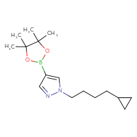 Chemical structure of 1-(4-cyclopropylbutyl)-4-(4,4,5,5-tetramethyl-1,3,2-dioxaborolan-2-yl)-1H-pyrazole - CSSB02496772805