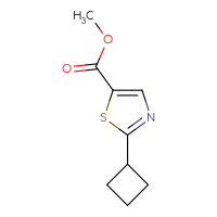 Chemical structure of methyl 2-cyclobutyl-1,3-thiazole-5-carboxylate - CSSB00012786278