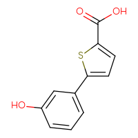 Chemical structure of 5-(3-hydroxyphenyl)thiophene-2-carboxylic acid - CSSB00021217494