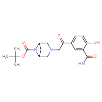 Chemical structure of tert-butyl 3-[2-(3-carbamoyl-4-hydroxyphenyl)-2-oxoethyl]-3,6-diazabicyclo[3.1.1]heptane-6-carboxylate - CSSB21531616715