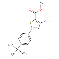 Chemical structure of methyl 3-amino-5-(4-tert-butylphenyl)thiophene-2-carboxylate - CSSB00000029810
