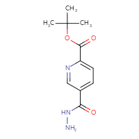 Chemical structure of tert-butyl 5-(hydrazinecarbonyl)pyridine-2-carboxylate - CSSB00159242179
