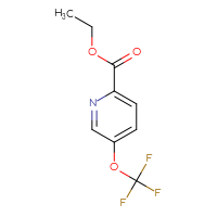 Chemical structure of ethyl 5-(trifluoromethoxy)pyridine-2-carboxylate - CSSB00010823329
