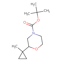 Chemical structure of tert-butyl 2-(1-methylcyclopropyl)morpholine-4-carboxylate - CSSB06729351220