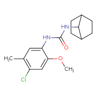 Chemical structure of 3-{bicyclo[2.2.1]heptan-7-yl}-1-(4-chloro-2-methoxy-5-methylphenyl)urea - CSSB15364002238