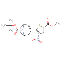 Chemical structure of tert-butyl 3-[5-(methoxycarbonyl)-3-nitrothiophen-2-yl]-8-azabicyclo[3.2.1]oct-2-ene-8-carboxylate - CSSB21531608787