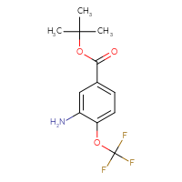 Chemical structure of tert-butyl 3-amino-4-(trifluoromethoxy)benzoate - CSSB00055778694