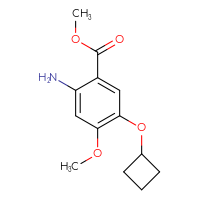 C13H17NO4