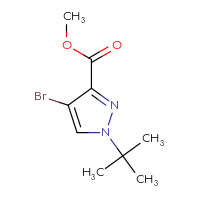 Chemical structure of methyl 4-bromo-1-tert-butyl-1H-pyrazole-3-carboxylate - CSSB00103311479