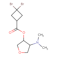 C11H17Br2NO3