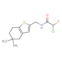 Chemical structure of 2-chloro-N-[(5,5-dimethyl-4,5,6,7-tetrahydro-1-benzothiophen-2-yl)methyl]-2-fluoroacetamide - CSSB21332103455