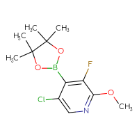 Chemical structure of 5-chloro-3-fluoro-2-methoxy-4-(4,4,5,5-tetramethyl-1,3,2-dioxaborolan-2-yl)pyridine - CSSB06359092360