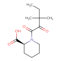 C13H21NO4