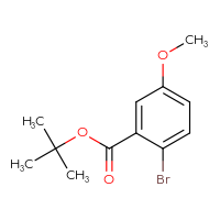 Chemical structure of tert-butyl 2-bromo-5-methoxybenzoate - CSSB00011942599