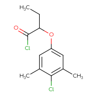 C12H14Cl2O2
