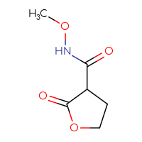 C6H9NO4