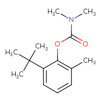 Chemical structure of 2-tert-butyl-6-methylphenyl N,N-dimethylcarbamate - CSSB21432560396