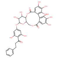 Chemical structure of 13-[3,5-dihydroxy-4-(3-phenylpropanoyl)phenoxy]-3,4,5,11,12,21,22,23-octahydroxy-9,14,17-trioxatetracyclo[17.4.0.0²,⁷.0¹⁰,¹⁵]tricosa-1(23),2,4,6,19,21-hexaene-8,18-dione - CSSB06744482941