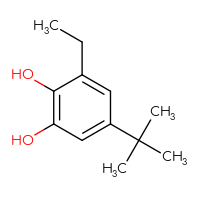 Chemical structure of 5-tert-butyl-3-ethylbenzene-1,2-diol - CSSB20451790533