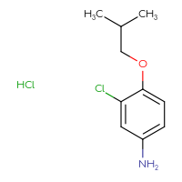 C10H15Cl2NO