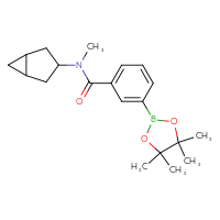 Chemical structure of N-{bicyclo[3.1.0]hexan-3-yl}-N-methyl-3-(4,4,5,5-tetramethyl-1,3,2-dioxaborolan-2-yl)benzamide - CSSB02509405024