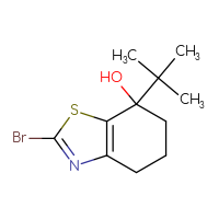 Chemical structure of 2-bromo-7-tert-butyl-4,5,6,7-tetrahydro-1,3-benzothiazol-7-ol - CSSB21246281811