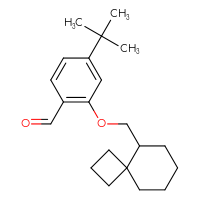 Chemical structure of 4-tert-butyl-2-({spiro[3.5]nonan-5-yl}methoxy)benzaldehyde - CSSB21414493412