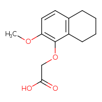 Chemical structure of 2-[(2-methoxy-5,6,7,8-tetrahydronaphthalen-1-yl)oxy]acetic acid - CSSB21432512288