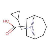 C13H21NO2
