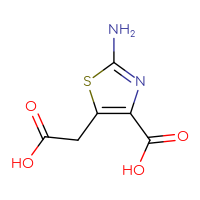 Chemical structure of 2-amino-5-(carboxymethyl)-1,3-thiazole-4-carboxylic acid - CSSB00010166560