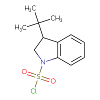 Chemical structure of 3-tert-butyl-2,3-dihydro-1H-indole-1-sulfonyl chloride - CSSB21224775551