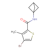 Chemical structure of N-{bicyclo[1.1.1]pentan-1-yl}-4-bromo-3-methylthiophene-2-carboxamide - CSSB01644145877