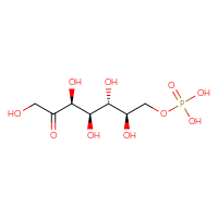 Chemical structure of {[(2R,3R,4R,5S)-2,3,4,5,7-pentahydroxy-6-oxoheptyl]oxy}phosphonic acid - CSSB02495327227