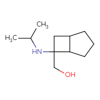 C11H21NO