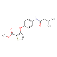 Chemical structure of methyl 3-[4-(3-methylbutanamido)phenoxy]thiophene-2-carboxylate - CSSB00025729763