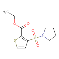 Chemical structure of ethyl 3-(pyrrolidine-1-sulfonyl)thiophene-2-carboxylate - CSSB00059620060