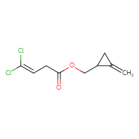 C9H10Cl2O2