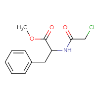 Chemical structure of methyl 2-(2-chloroacetamido)-3-phenylpropanoate - CSSB00000279741