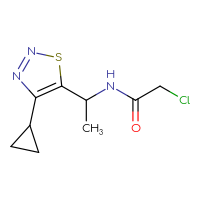 Chemical structure of 2-chloro-N-[1-(4-cyclopropyl-1,2,3-thiadiazol-5-yl)ethyl]acetamide - CSSB21332100418